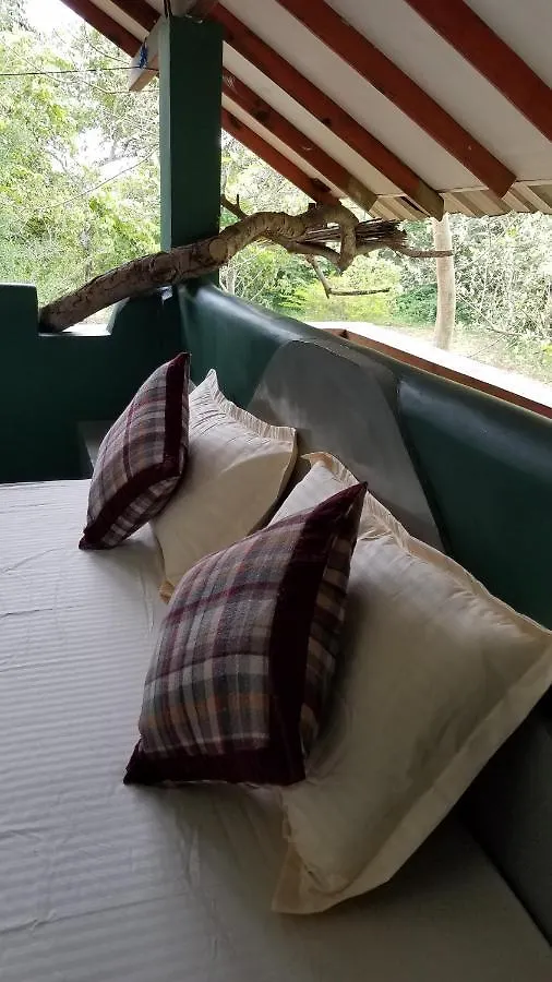 Guest house Sigiri Holiday Villa Sigiriya Sri Lanka