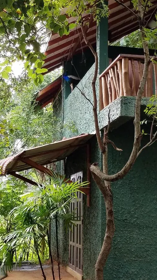 Guest house Sigiri Holiday Villa Sigiriya