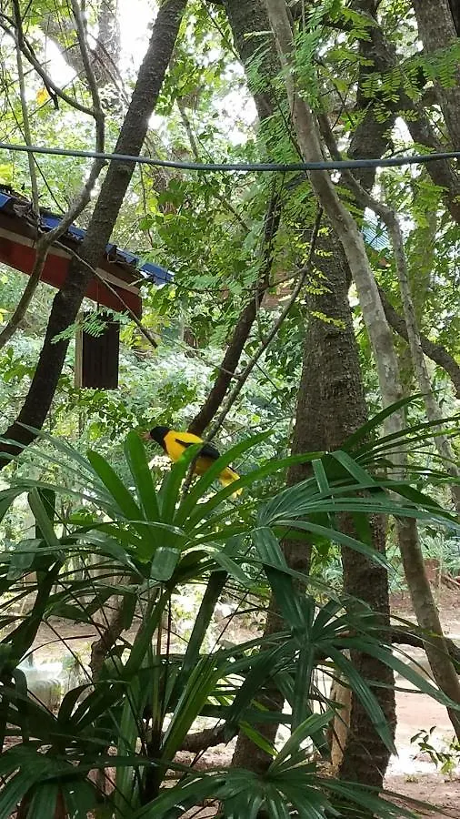 Sigiri Holiday Villa Sigiriya