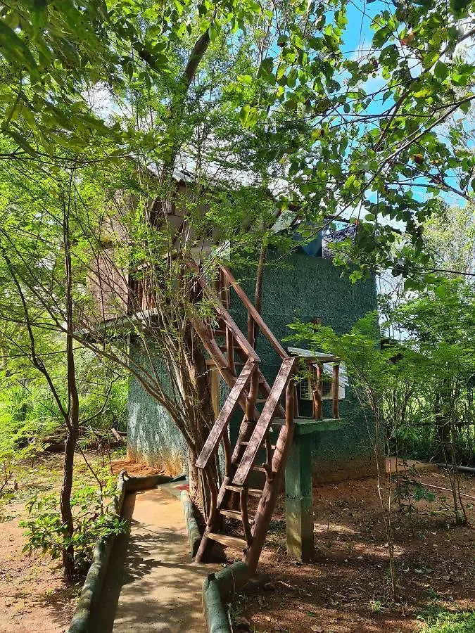 Sigiri Holiday Villa Sigiriya