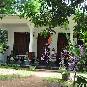 Guest house Flower Guest, Sigiriya